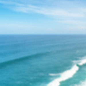 Meet your Posher, Bridget